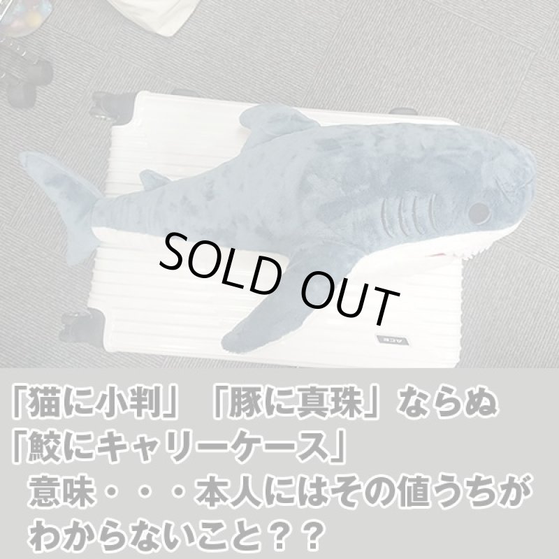 画像4: インスタ映えする超BIGなサメぬいぐるみ80cm (4)