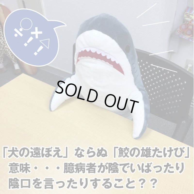 画像5: インスタ映えする超BIGなサメぬいぐるみ80cm (5)