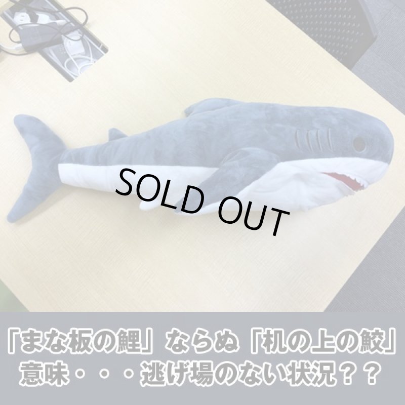画像3: インスタ映えする超BIGなサメぬいぐるみ80cm (3)