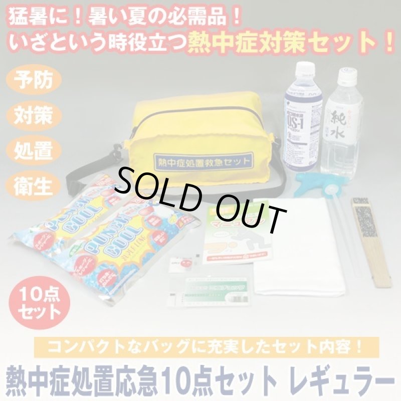画像1: 熱中症処置応急10点セットレギュラー (1)