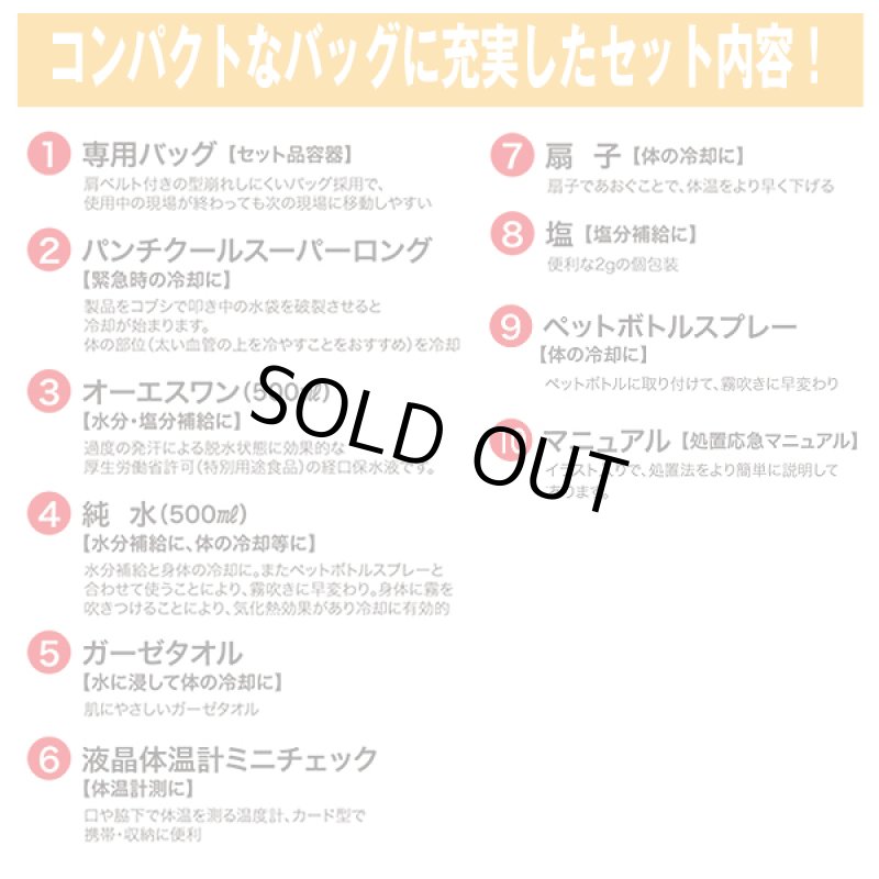 画像4: 熱中症処置応急10点セットレギュラー (4)