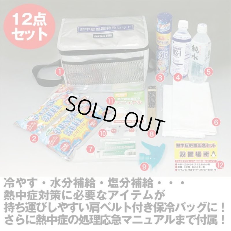 画像3: 熱中症処置応急12点セットラージ (3)