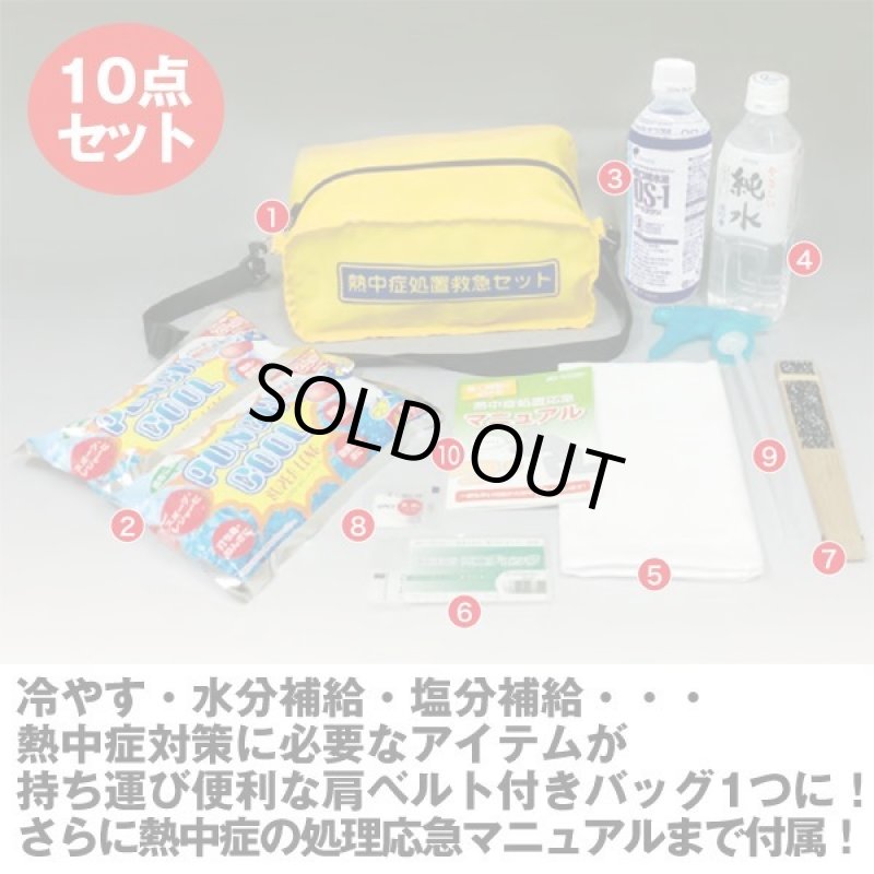 画像3: 熱中症処置応急10点セットレギュラー (3)