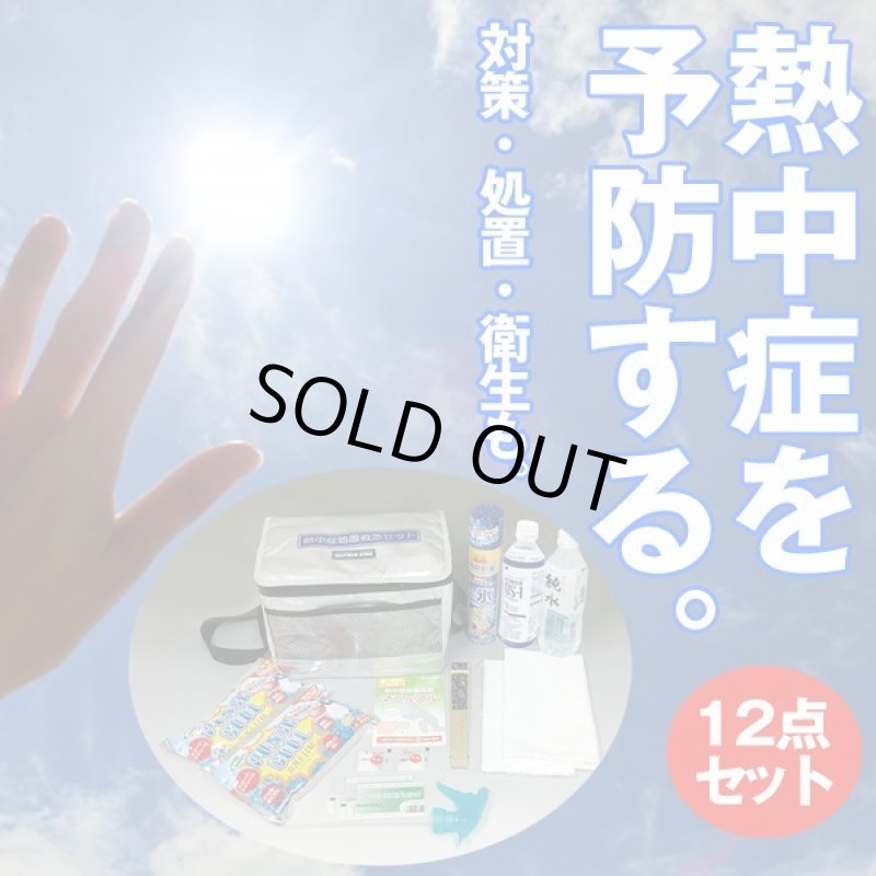 画像2: 熱中症処置応急12点セットラージ (2)