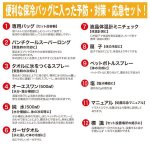 画像4: 熱中症処置応急12点セットラージ (4)