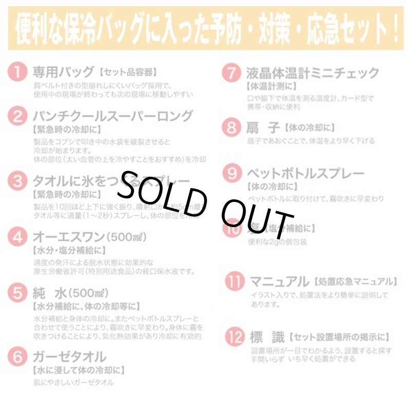 画像4: 熱中症処置応急12点セットラージ (4)