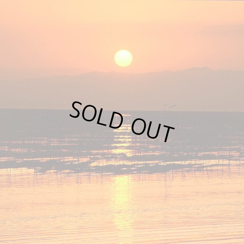 画像4: 特撰有明海苔（全型7枚×10パック） (4)