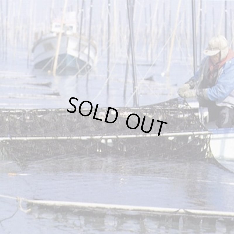 画像3: 特撰有明海苔（全型7枚×10パック） (3)