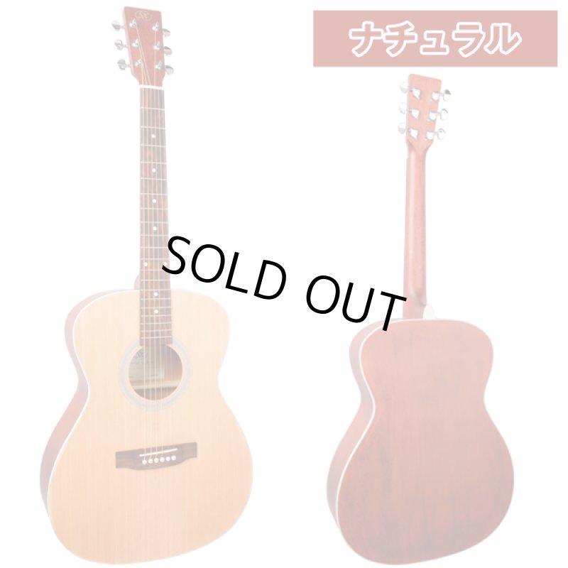 画像6: アコースティックギター入門フルセット／サイドバックカラーモデル (6)