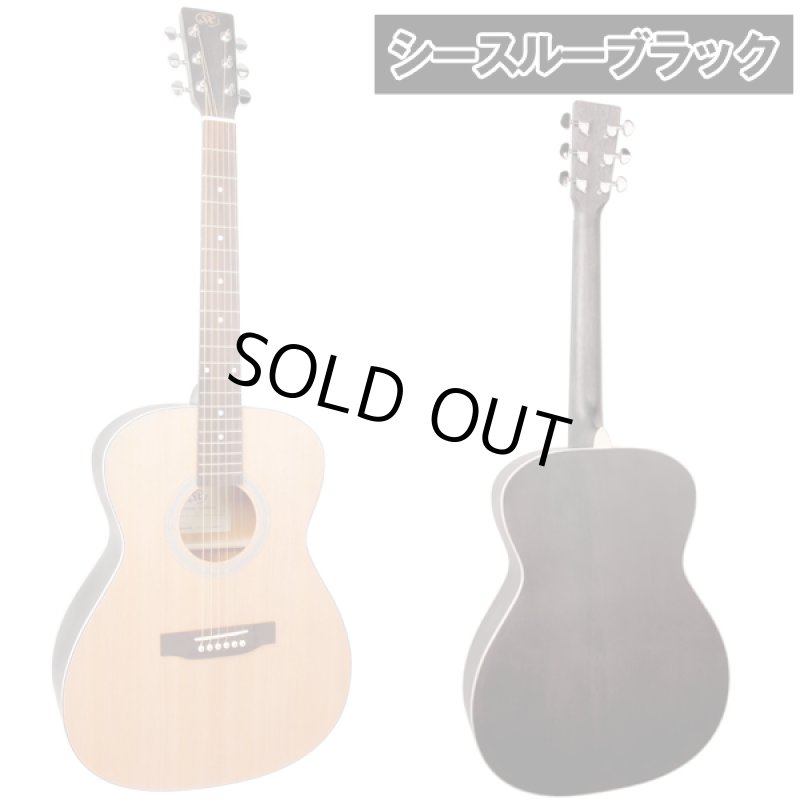 画像7: アコースティックギター入門フルセット／サイドバックカラーモデル (7)