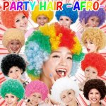 画像1: パーティーヘアー「アフロ」 (1)