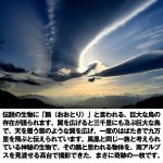 画像2: 幸運をもたらす奇跡の写真「鵬（おおとり」 (2)