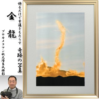 幸運をもたらす奇跡の写真「守礼門に金の鳥」FRM-PHT11 幸運をもたらす奇跡の写真「守礼門に金の鳥」FRM-PHT11