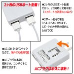 画像2: PSE認証2ポートUSB-AC変換アダプタ (2)