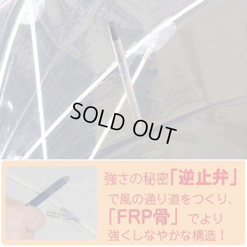 画像4: ホワイトローズ シンカテール8本骨 (4)