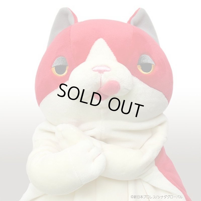 画像5: もちねこLサイズ「ナオル」 (5)