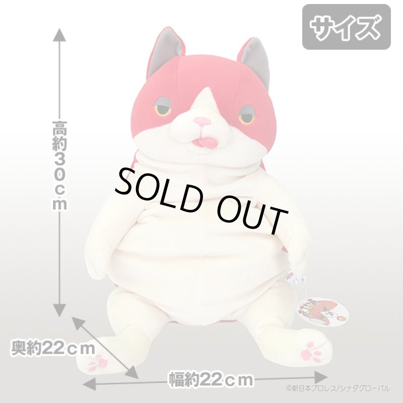 画像6: もちねこLサイズ「ナオル」 (6)