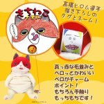 画像3: もちねこLサイズ「ナオル」 (3)