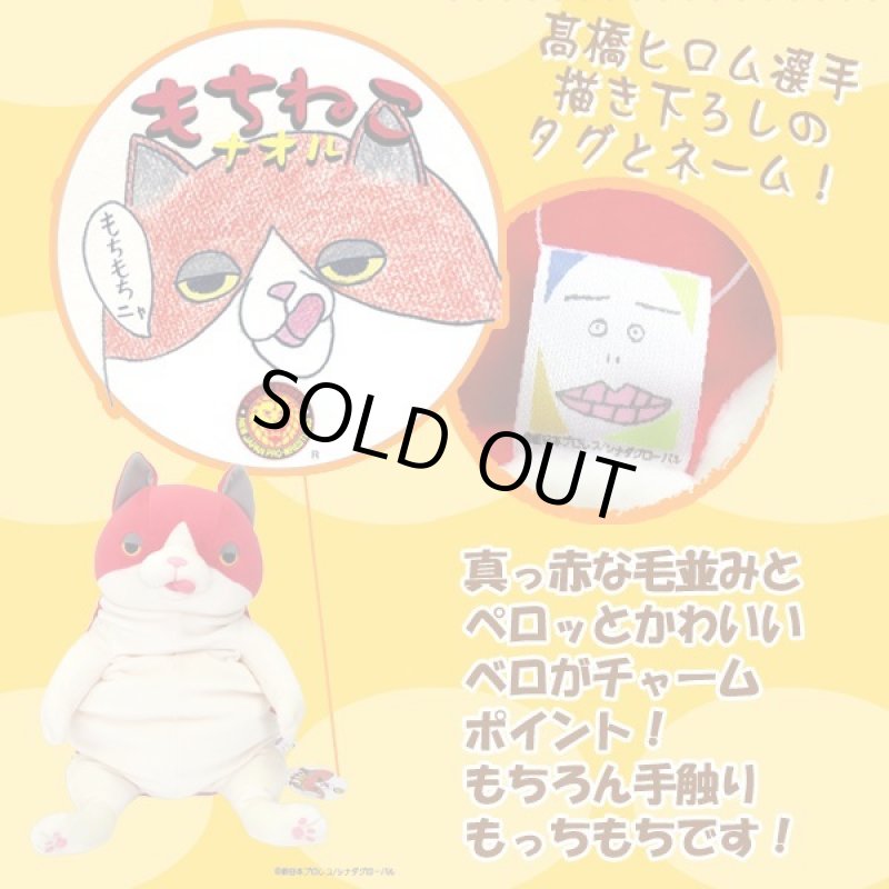 画像3: もちねこLサイズ「ナオル」 (3)