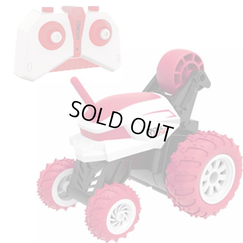 画像9: RCスタントバギー「ミニクール360」 (9)