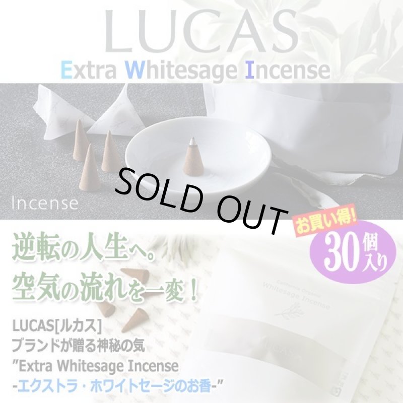 画像1: LUCAS[ルカス] ホワイトセージ浄化＆ヒーリングインセンス[30個入り] (1)