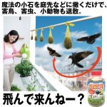 画像1: 飛んで来んねー？ (1)