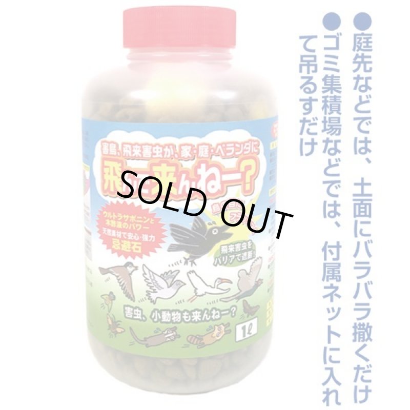 画像2: 飛んで来んねー? (2)