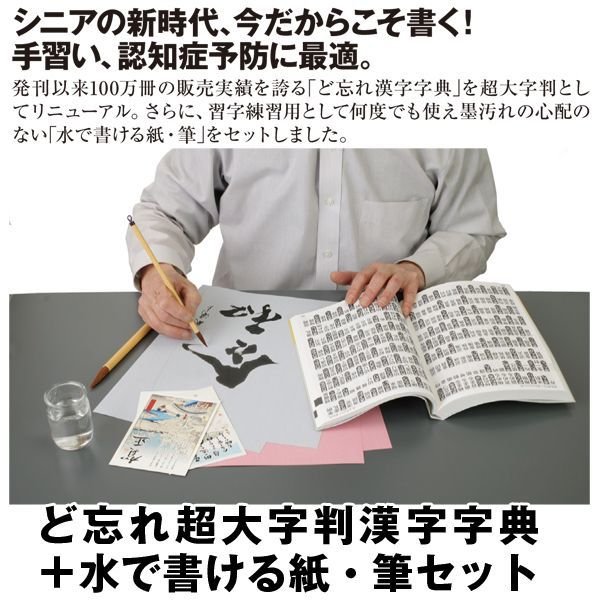 ど忘れ超大字判漢字字典＋水で書ける紙・筆セット16719