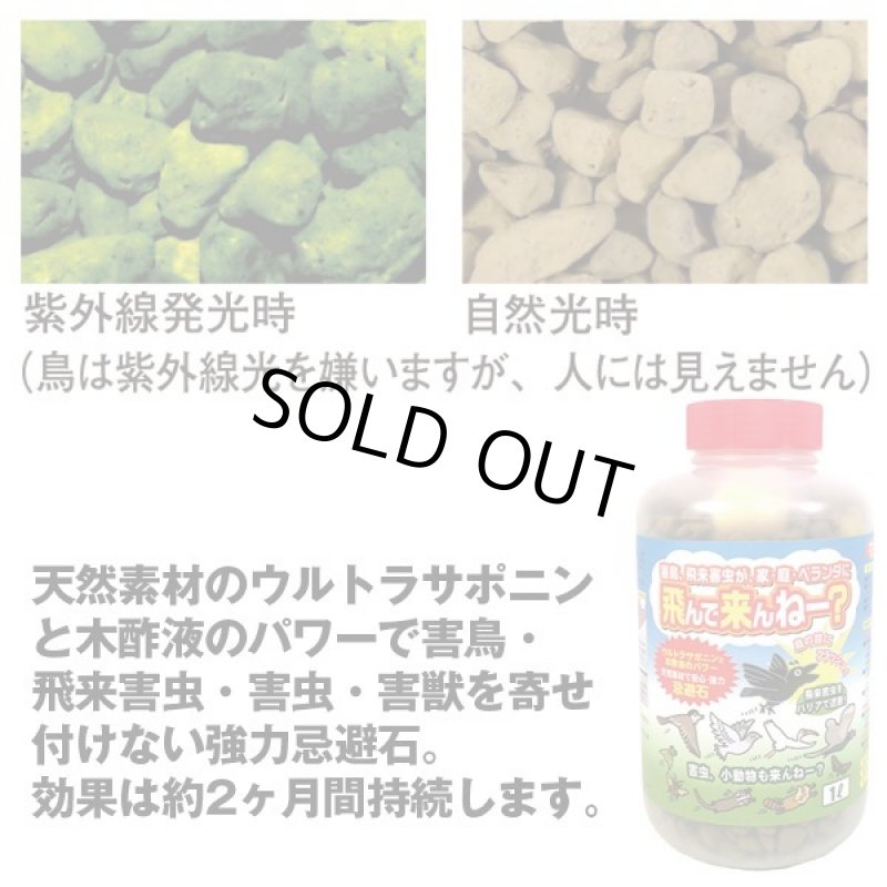 画像3: 飛んで来んねー? (3)