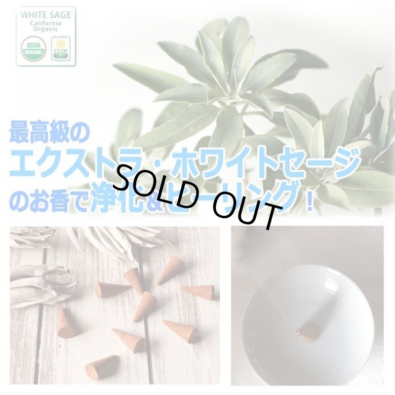 画像2: LUCAS[ルカス] ホワイトセージ浄化＆ヒーリングインセンス[30個入り] (2)
