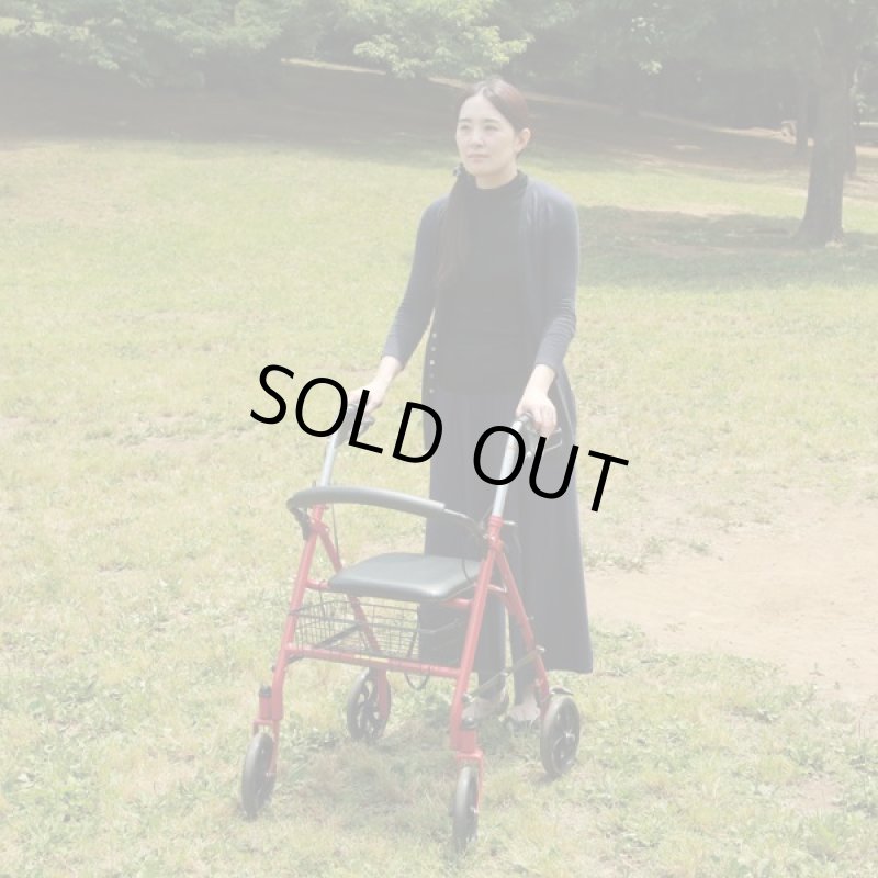 画像2: 高さ調節できる歩行車「ピアチェーレ ウノ」(16606/16607) (2)