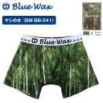 画像6: BlueWax水陸両用水着インナー (6)