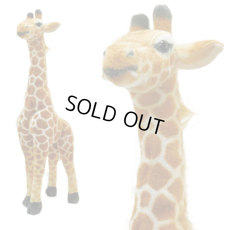 画像3: リアルアニマルキリンBIGぬいぐるみ (3)