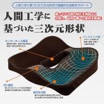 画像2: お尻が疲れない「エルゴクッション」 (2)