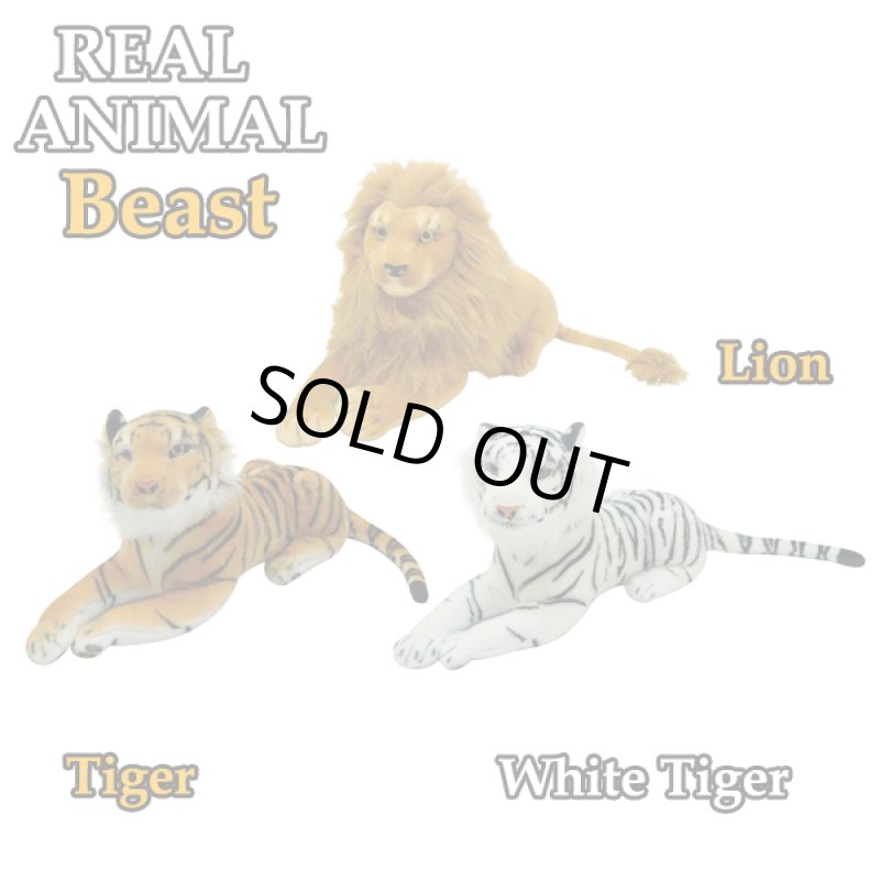 画像6: リアルアニマル猛獣BIG3種セット (6)