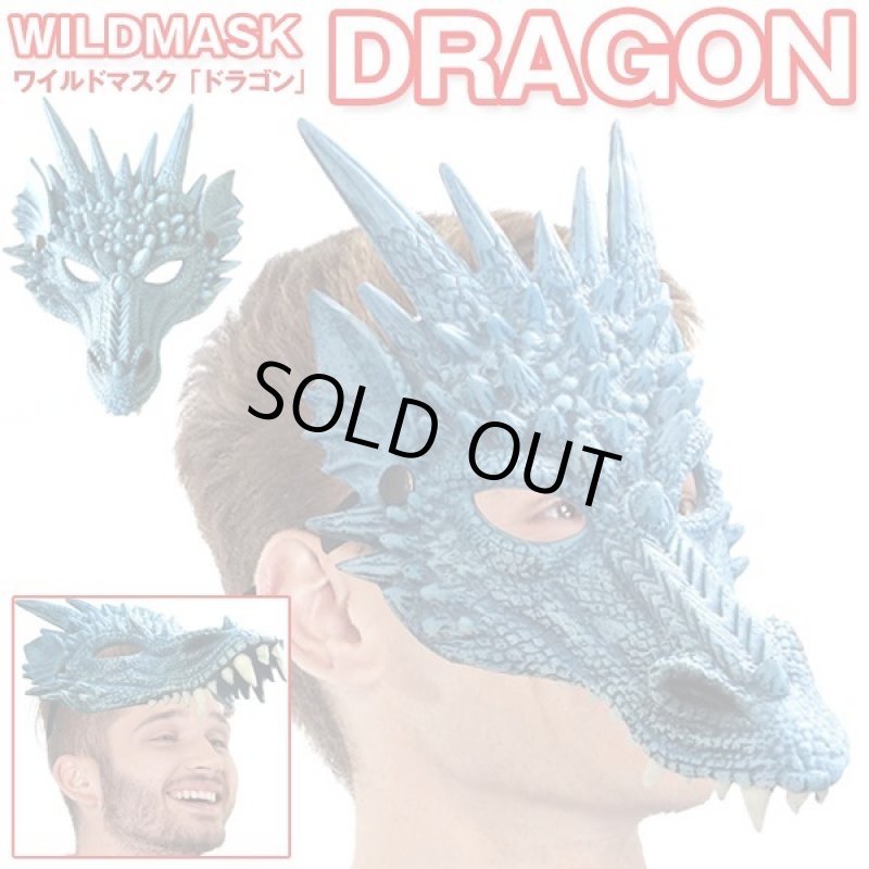 画像1: ワイルドマスク「ドラゴン」 (1)