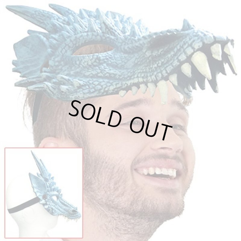 画像3: ワイルドマスク「ドラゴン」 (3)