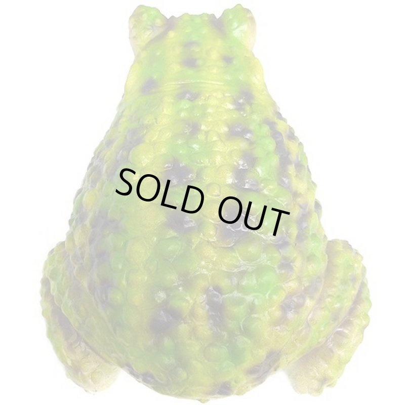 画像4: メガトノサマガエル (4)