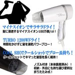 画像2: ピュアウィンドイオンドライヤーTURBO/1200W (2)