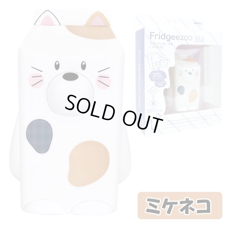 画像8: フリッジィズーネオ (8)