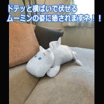 画像3: ムーミン ぬいぐるみティッシュカバー (3)