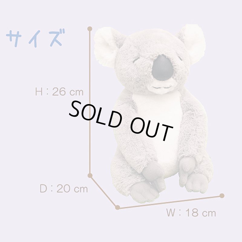 画像5: うぃずずコアラ (5)