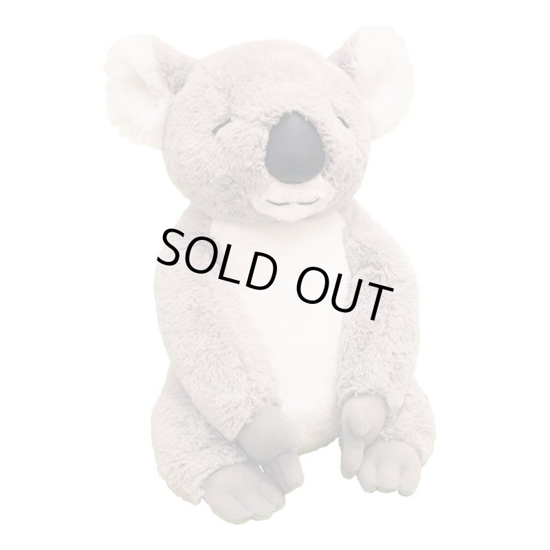 画像2: うぃずずコアラ (2)