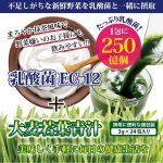 画像4: たっぷり乳酸菌EC-12！大麦若葉青汁3BOX（72包入り） (4)