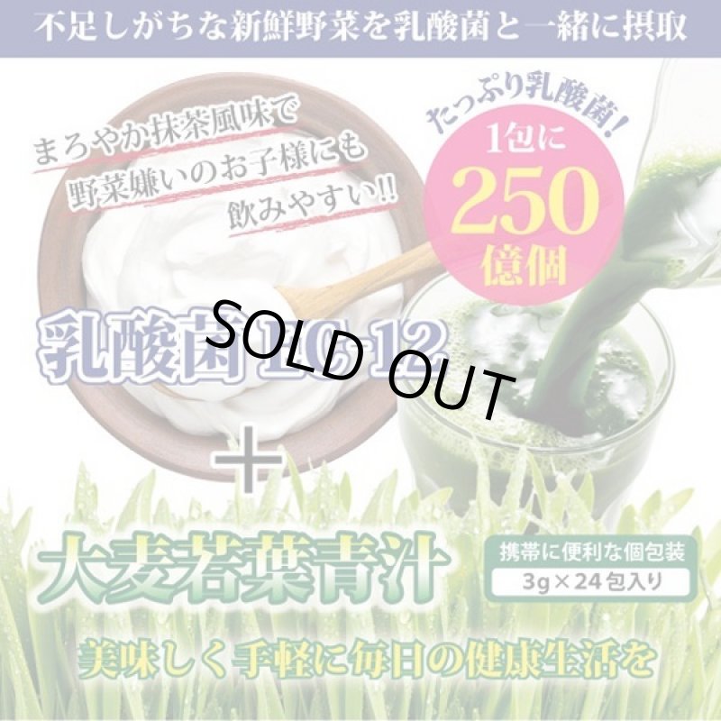 画像4: たっぷり乳酸菌EC-12!大麦若葉青汁5BOX(120包入り) (4)