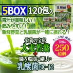 画像1: たっぷり乳酸菌EC-12！大麦若葉青汁5BOX（120包入り） (1)