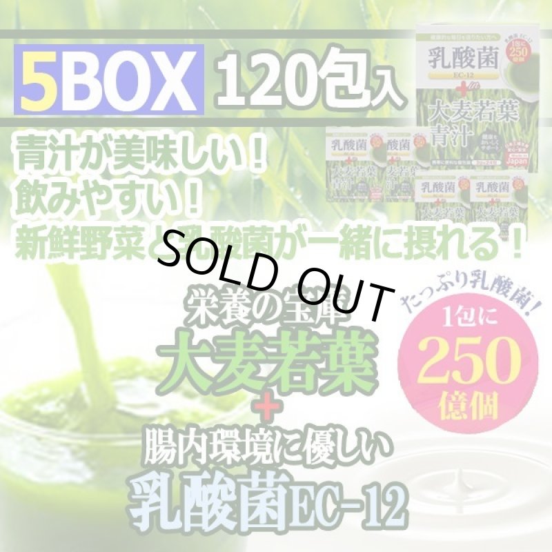 画像1: たっぷり乳酸菌EC-12！大麦若葉青汁5BOX（120包入り） (1)