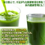 画像3: たっぷり乳酸菌EC-12！大麦若葉青汁3BOX（72包入り） (3)