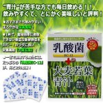 画像2: たっぷり乳酸菌EC-12！大麦若葉青汁3BOX（72包入り） (2)