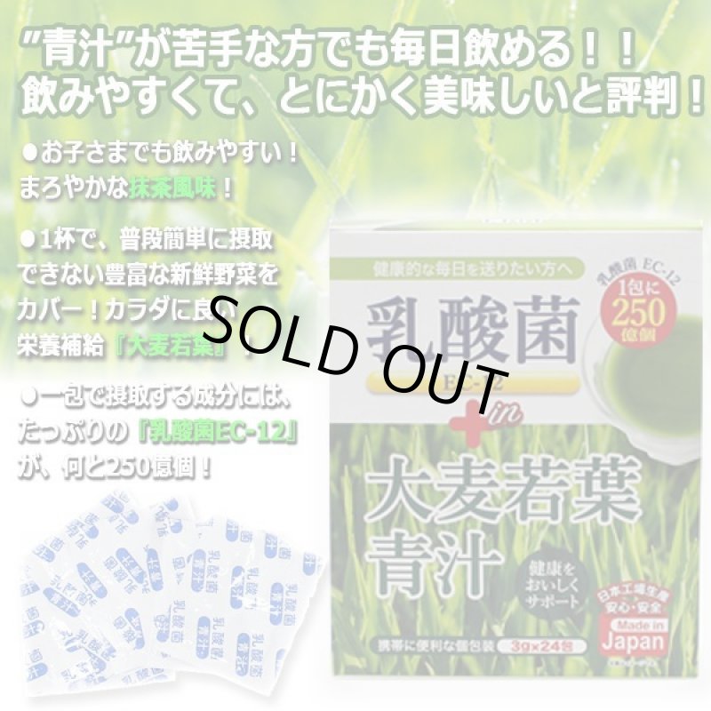 画像2: たっぷり乳酸菌EC-12!大麦若葉青汁5BOX(120包入り) (2)